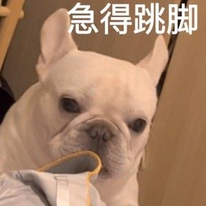 Ergggdffdffdf435435